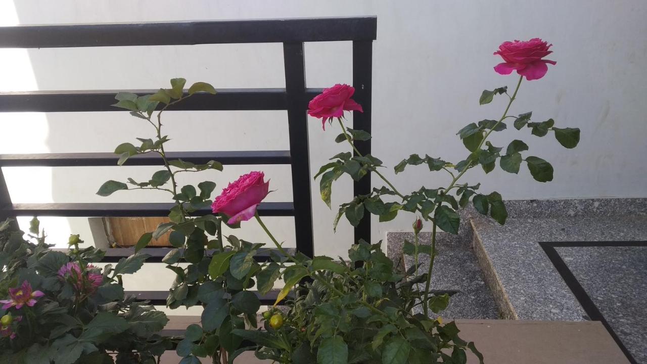Mai Dalat Homestay Kültér fotó